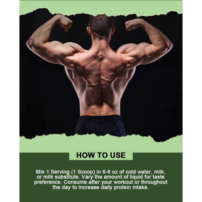 Protein Powder Supplier - Matcha Flavor 2.2lbs Source Factory