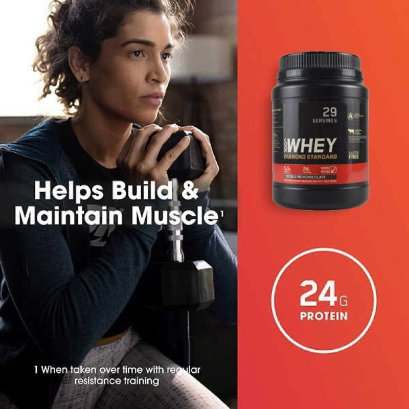 Whey Protein Powder Factory - 899g Gold Standard Mass Gain