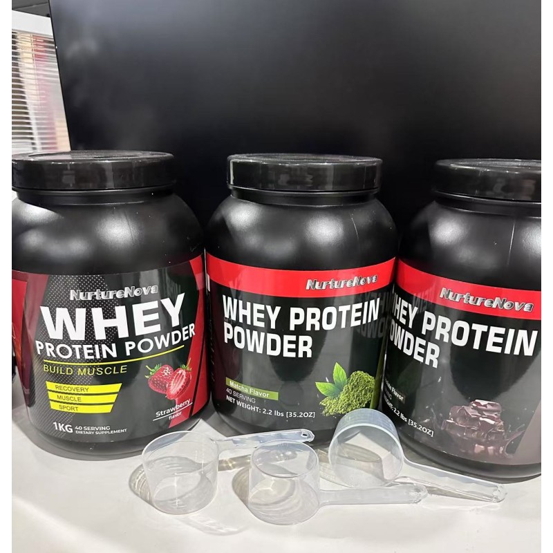 Whey Protein Powder Manufacturer - High Immunity Muscle Support