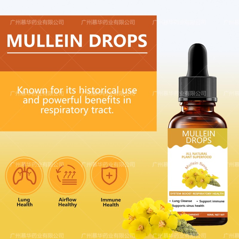 Mullein Drops Factory - 60ml Immunity Boost Supplement