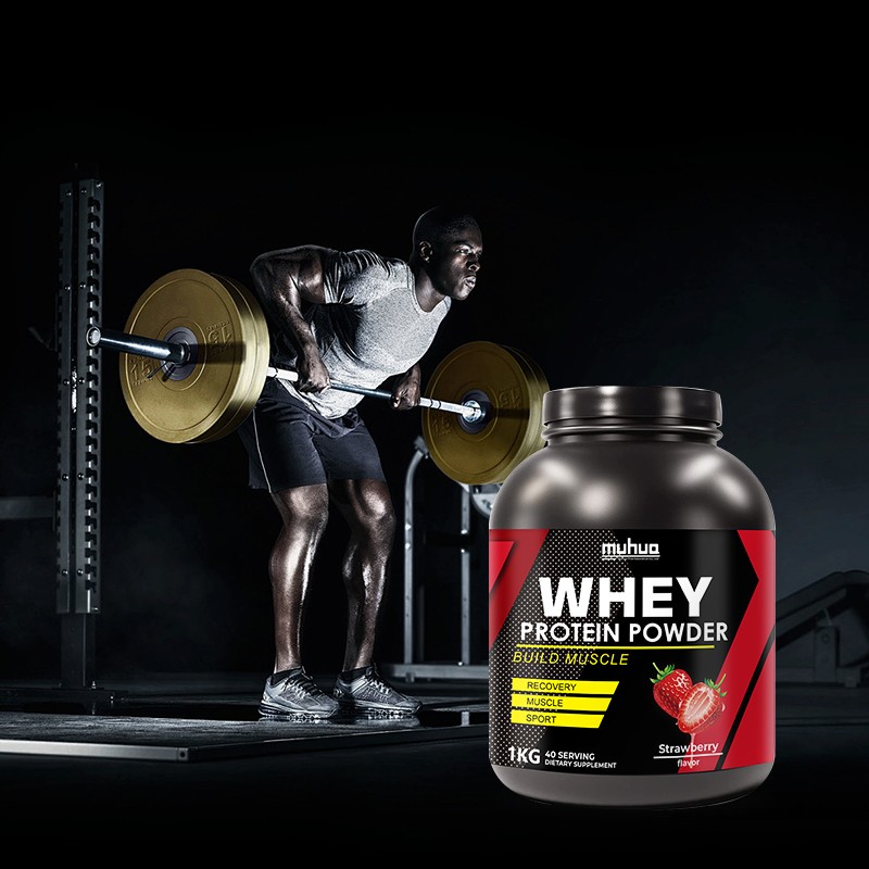 Whey Protein Powder Manufacturer - High Immunity Muscle Support
