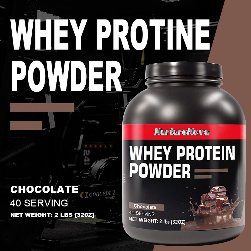 Whey Protein Powder Supplier - Chocolate Flavor Sports Fitness