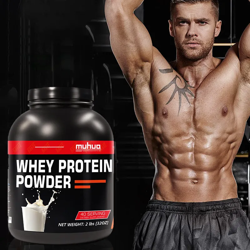 Whey Protein Powder Manufacturer - 1kg 2lbs Milk Flavor Source