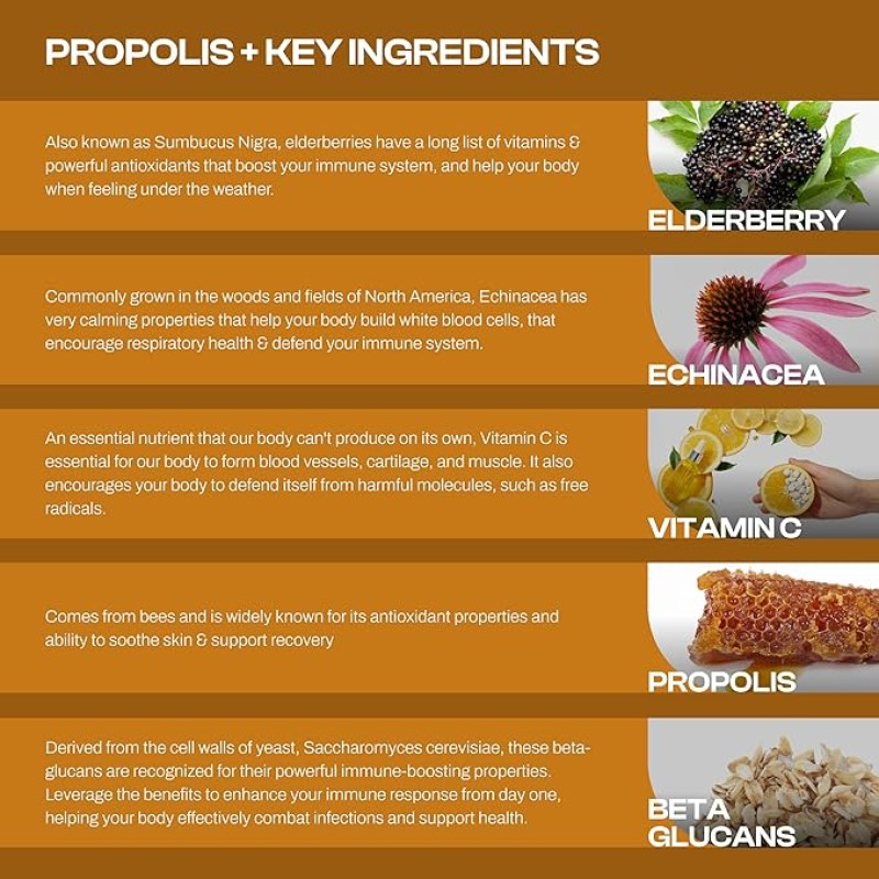 Propolis Capsules Manufacturer - Natural Immune Support Herbal