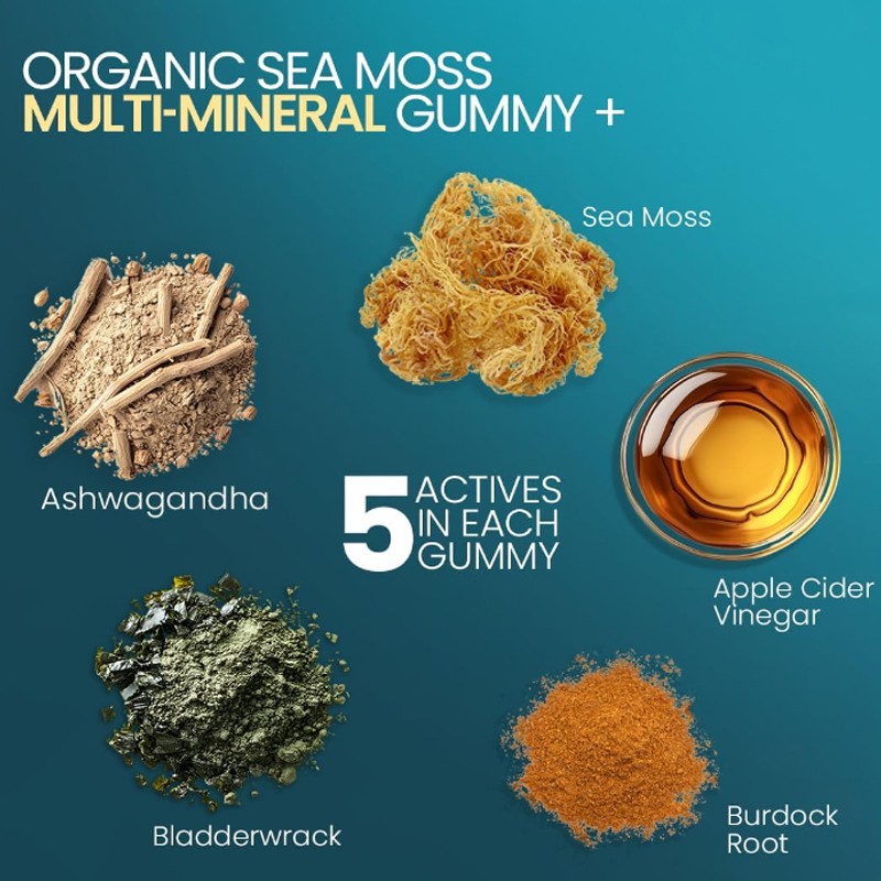 Sea Moss Gummies Supplier - Irish Moss Vegan Immune Wellness
