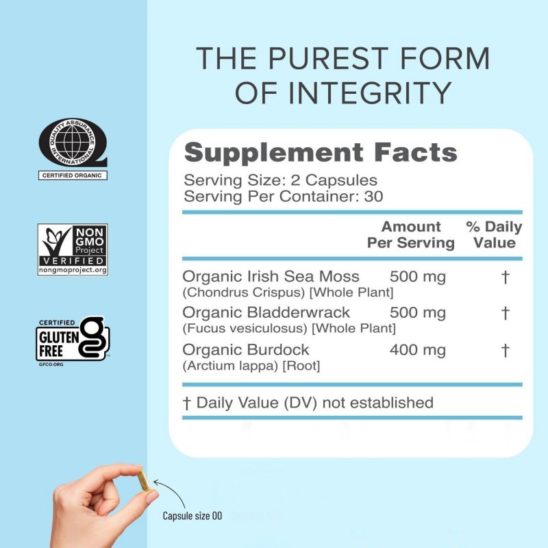 Sea Moss Capsules Manufacturer - Immune Digestive Thyroid