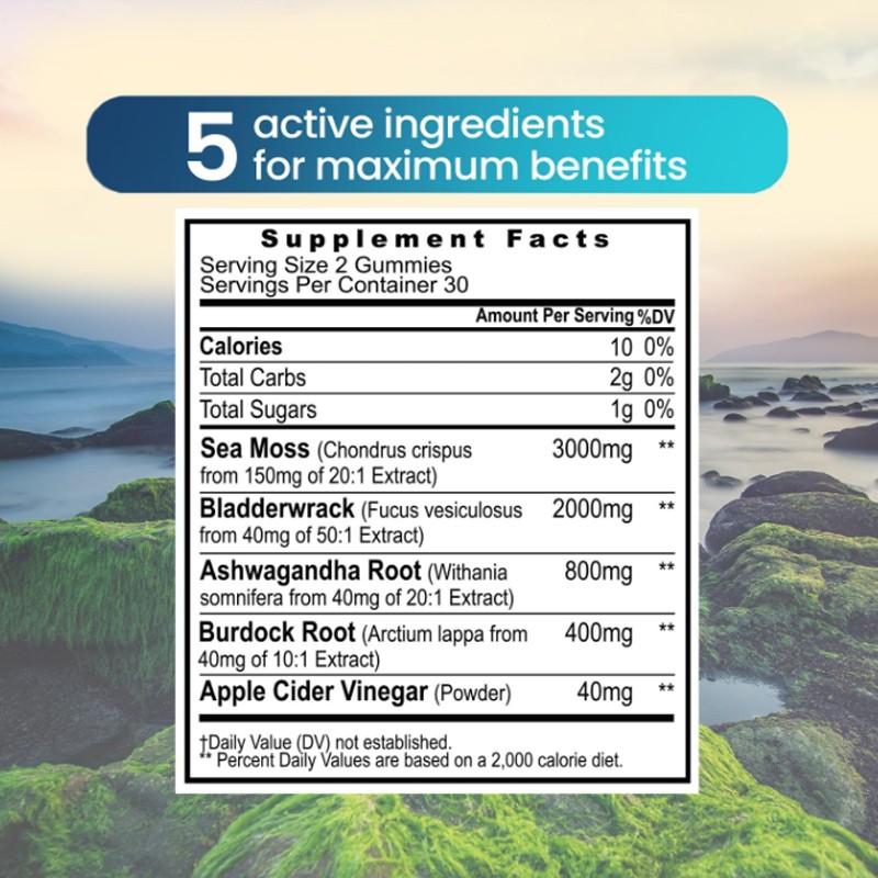 Sea Moss Gummies Supplier - Irish Moss Vegan Immune Wellness