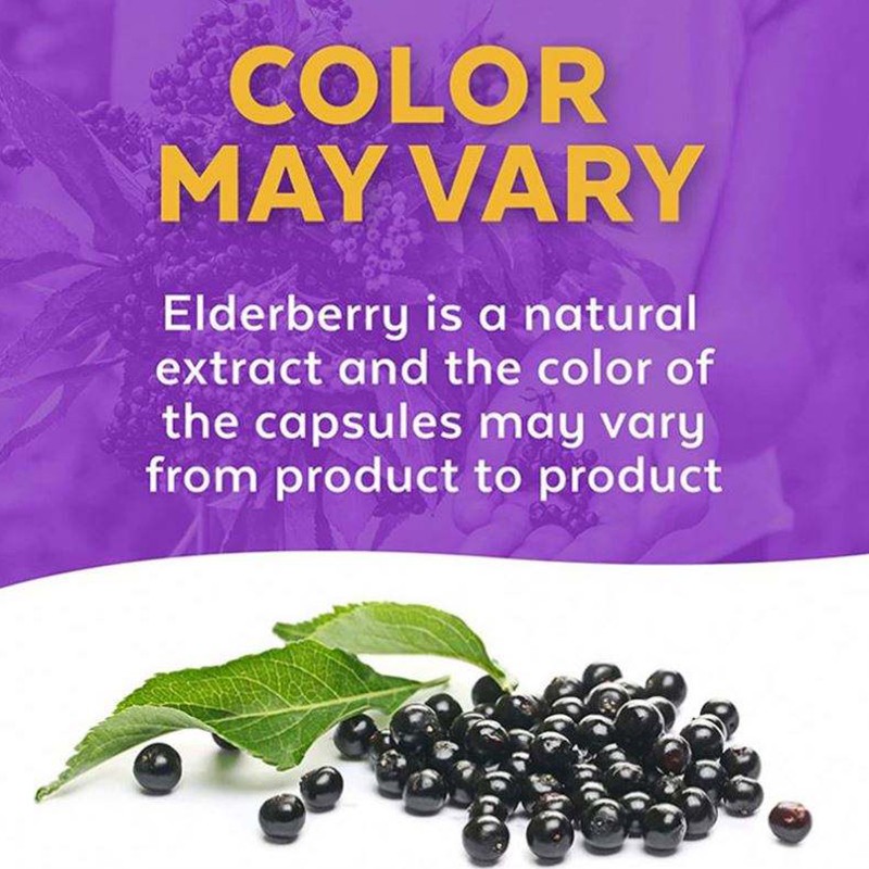 Black Elderberry Capsules Factory - Vitamin C Zinc Immune