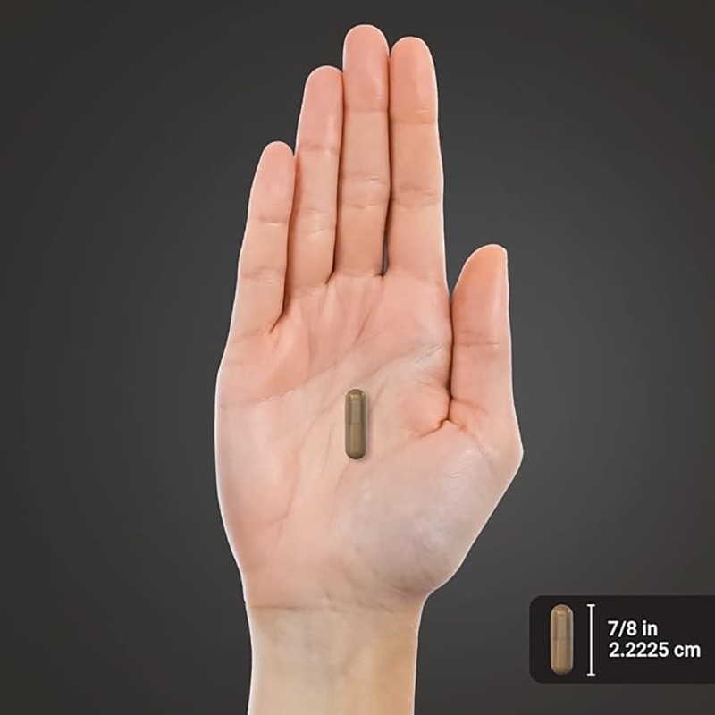 Guarana Capsules Factory - Natural Energy Physical Performance