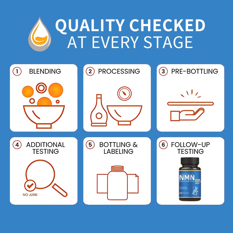NMN Capsules Factory - Energy Booster NAD Level 60 Veggie
