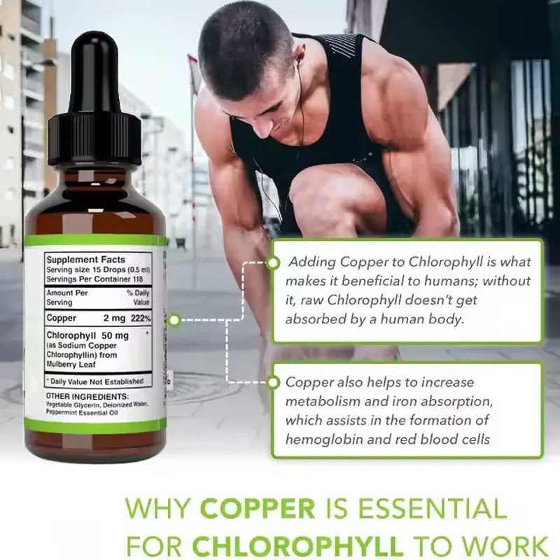 Chlorophyll Drops Factory - Halal Gluten Free Energy Immune