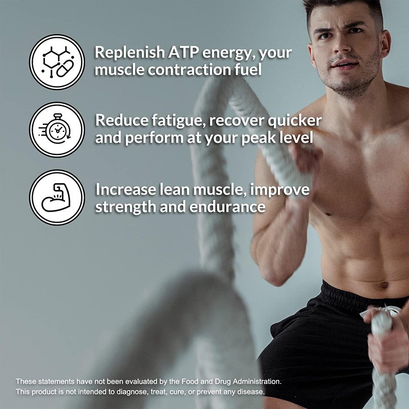 Creatine Powder Supplier - Monohydrate Healthcare Supplement