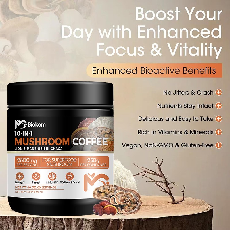 Mushroom Coffee Powder Supplier - Lion 10 in 1 Reishi Complex