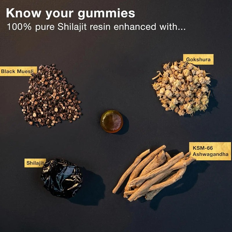 Shilajit Gummies Factory - Himalayan Organic 85 Minerals Custom