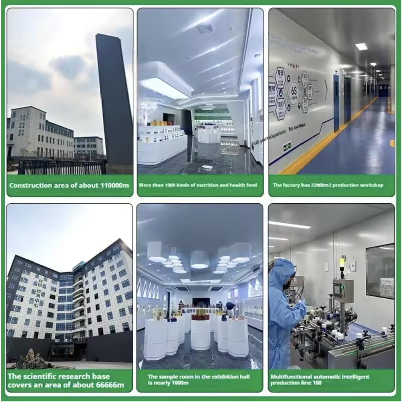 Non-Woven Wallpaper Factory - OEM Embossed Moisture Proof Decoration