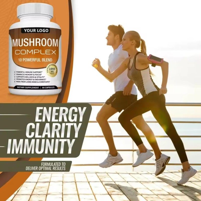 Maitake Capsules Factory - Herbal Immune Support Mushroom