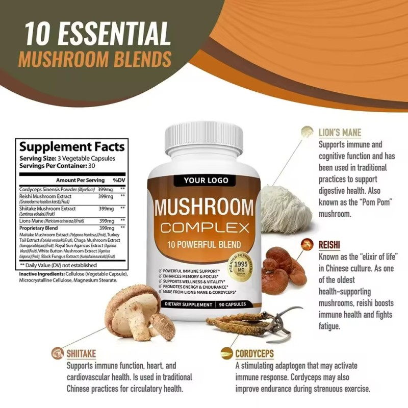 Maitake Capsules Factory - Herbal Immune Support Mushroom