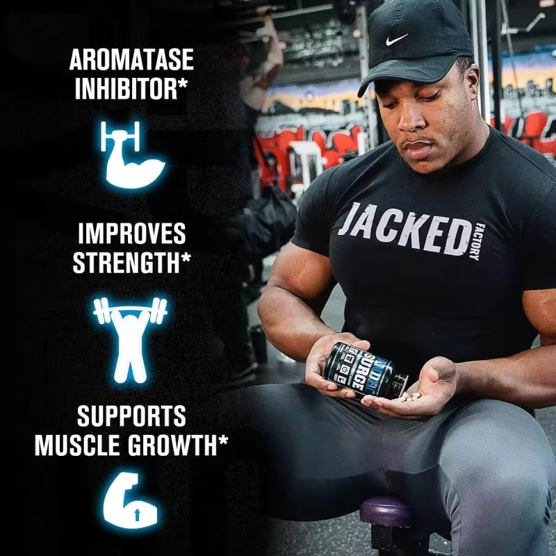 Test Booster Capsules Manufacturer - Tongkat Ali Anti-Estrogen