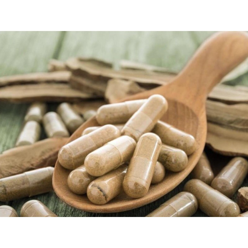 Lions Mane Capsules Supplier - Organic Mushroom Extract Vegan