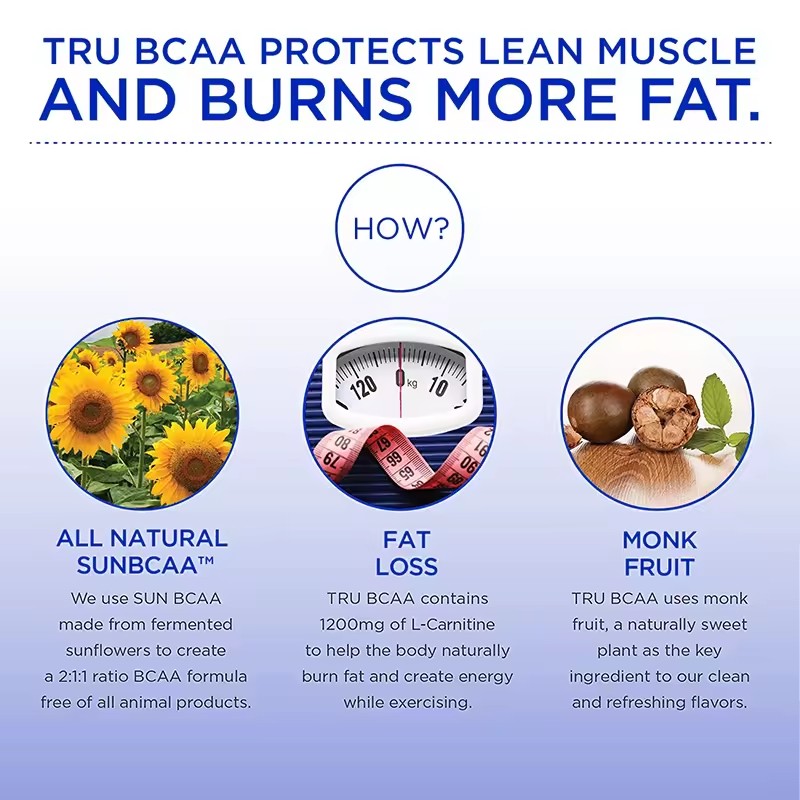 Creatine Monohydrate Gummy Supplier - 5g Pre Workout OEM