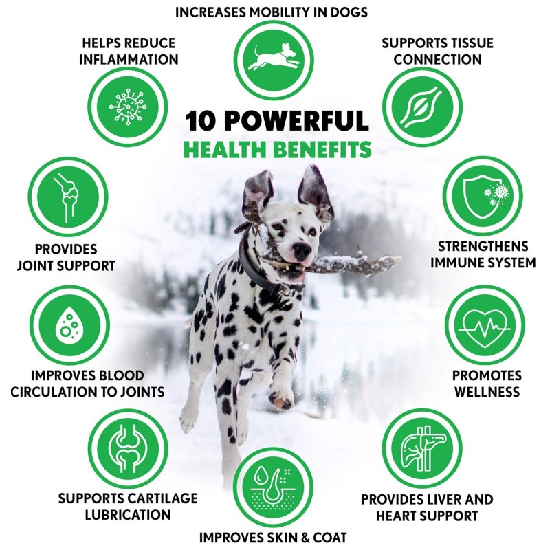 Dog Chews Manufacturer - OEM Immune Health Skin Coat Dental Hip Joint