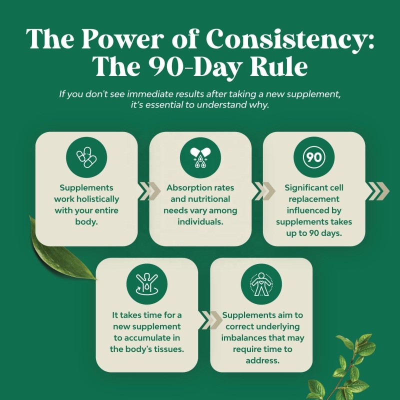 Liposomal Lymphatic Drops Supplier - OEM 2000mg Lymphatic Detox Echinacea