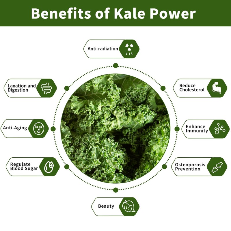 Kale Powder Supplier - OEM Organic Green Juice Immune System Fiber