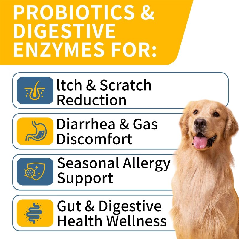 Probiotic Soft Chews Manufacturer - OEM Dogs Cats Diarrhea Constipation Immunity