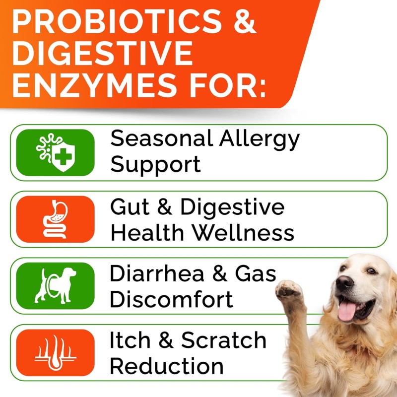 Dog Probiotics Chews Supplier - OEM Digestive Enzymes Gut Health Diarrhea