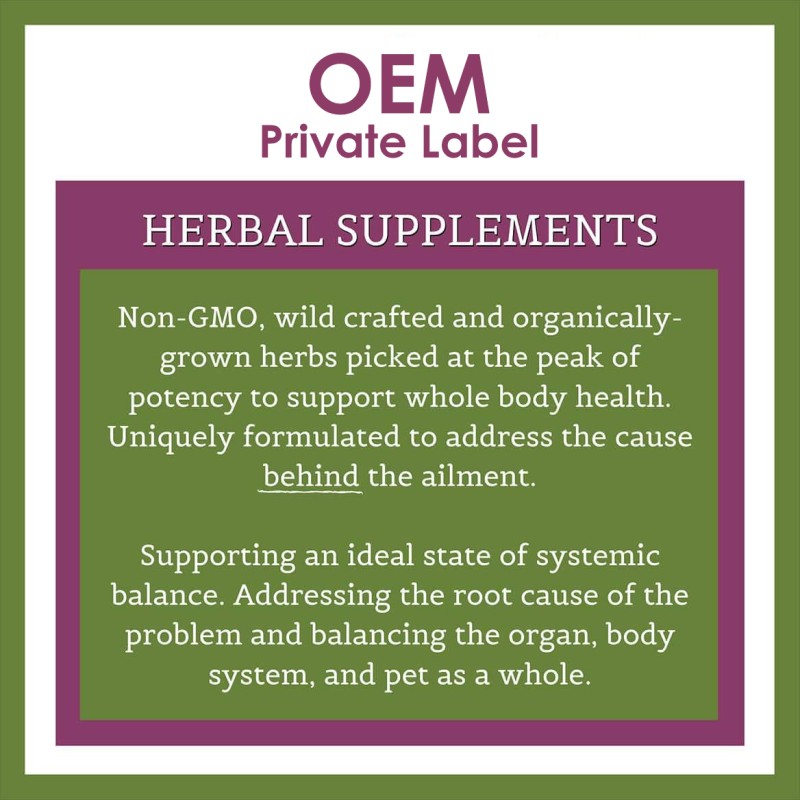 Brain Health Drops Factory - OEM Herbal Supplement Senior Cats Concentration