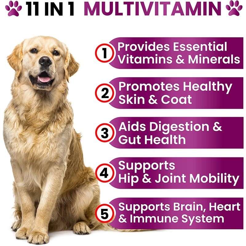 Dog Multivitamin Chews Factory - OEM 11 in 1 Glucosamine Joint Support