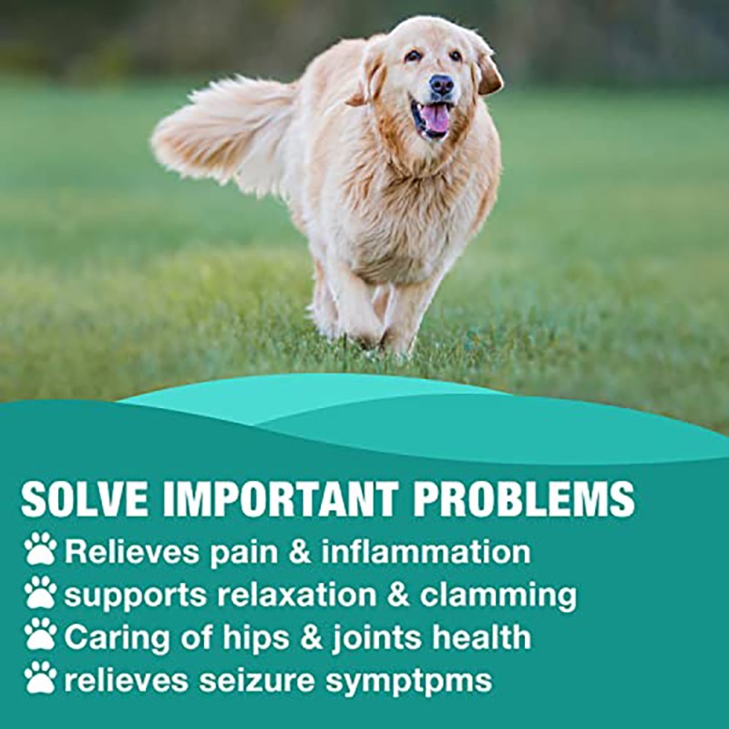 Hemp Seed Oil Drops Factory - OEM Organic Anxiety Relief Stress Calming