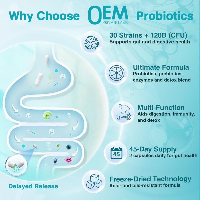 Probiotics Capsules Factory - OEM 120 Billion CFU Super Greens Digestive