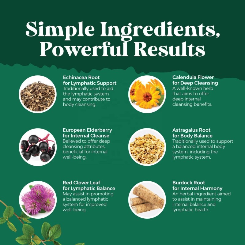 Liposomal Lymphatic Drops Supplier - OEM 2000mg Lymphatic Detox Echinacea