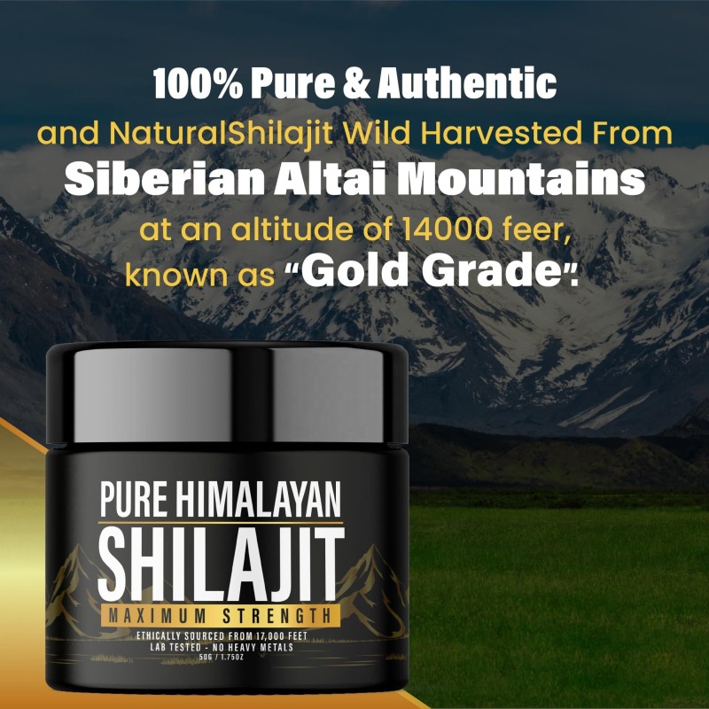Shilajit Resin Gel Supplier - OEM Fulvic Acid Trace Minerals Energy Immune