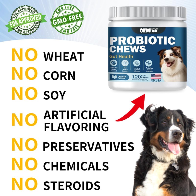 Probiotic Soft Chews Manufacturer - OEM Dogs Cats Diarrhea Constipation Immunity