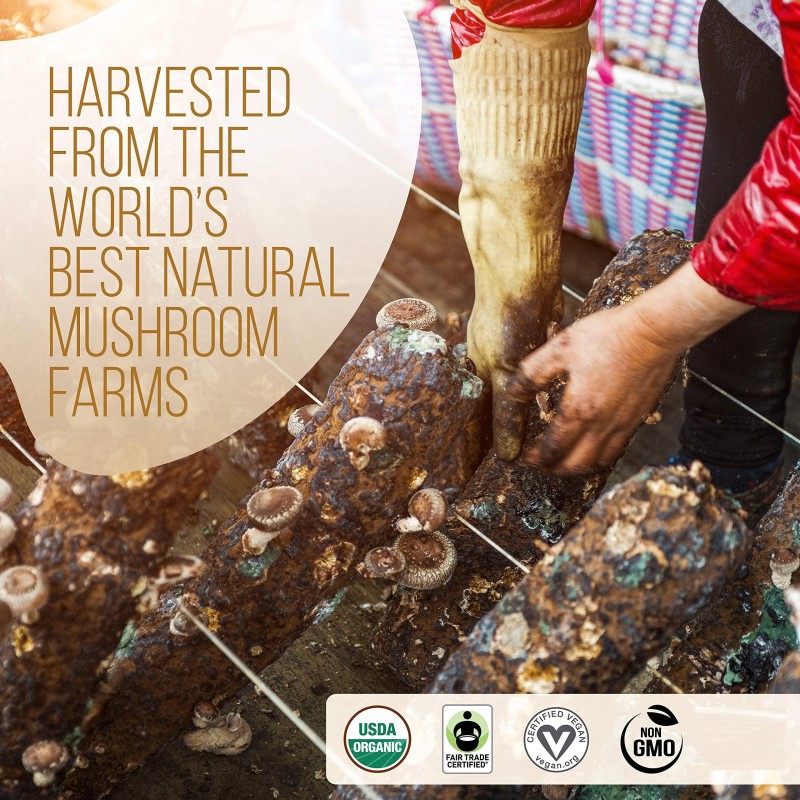 Mushroom Coffee Supplier - OEM Lions Mane Reishi Focus Immunity Memory