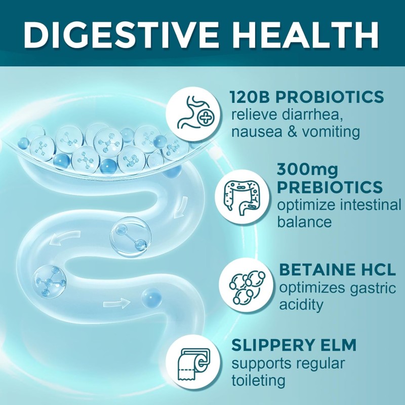 Probiotics Capsules Factory - OEM 120 Billion CFU 35 Strains Gut Support