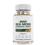 Sea Moss Capsules Manufacturer - Vegan Seamoss Pills OEM