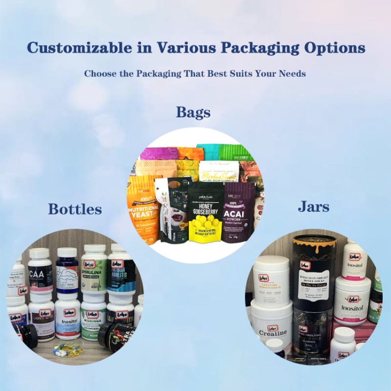 Probiotic Capsules Supplier - Daily Gut Health Balance