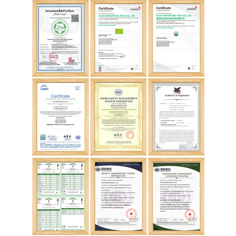 Creatine Monohydrate Powder Supplier - Private Label Micronized