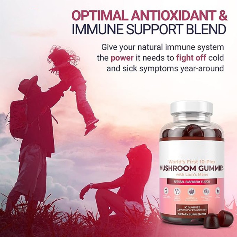 Lions Mane Gummies Manufacturer - Nootropics Brain Supplement