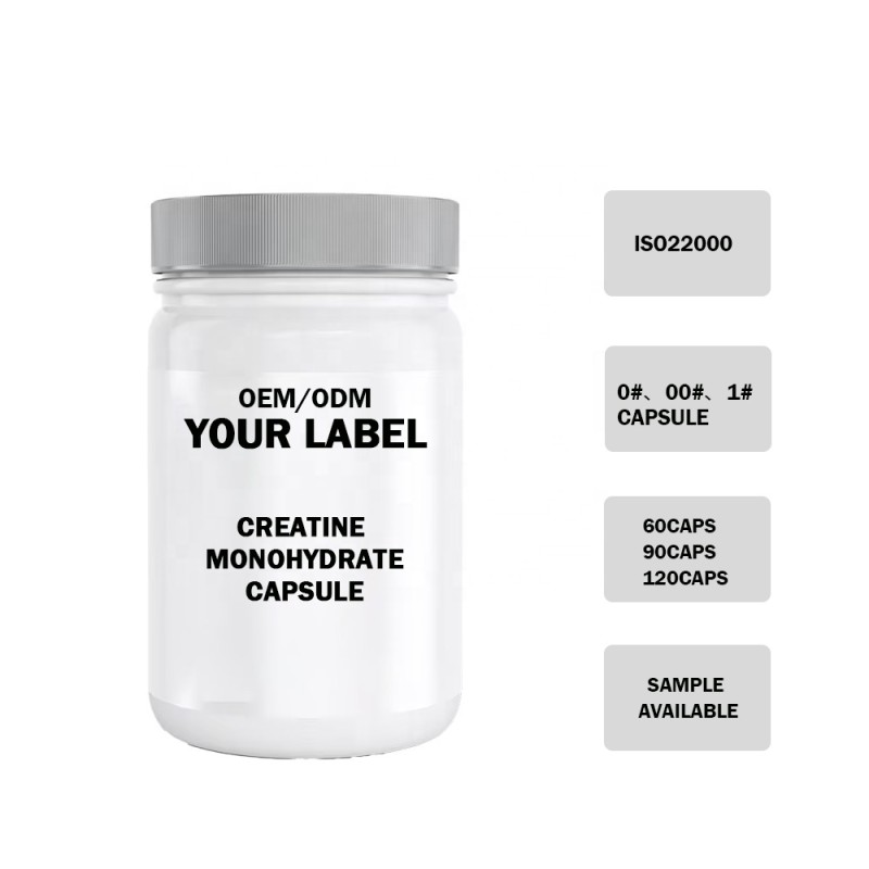 Creatine Capsules Factory - 500mg Vegan Monohydrate Custom