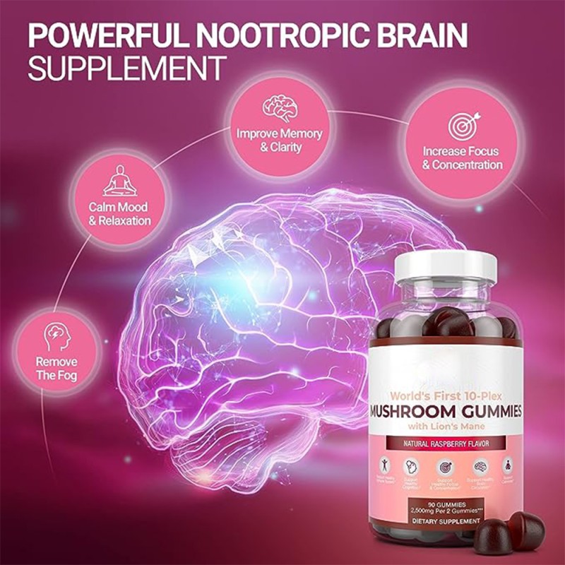 Lions Mane Gummies Manufacturer - Nootropics Brain Supplement