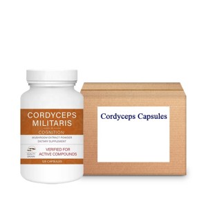 Cordyceps Capsules Supplier - Mushroom Supplement Daily Support