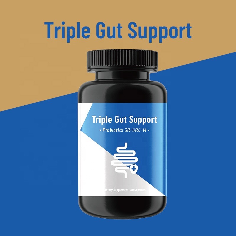 Probiotic Capsules Supplier - Daily Gut Health Balance
