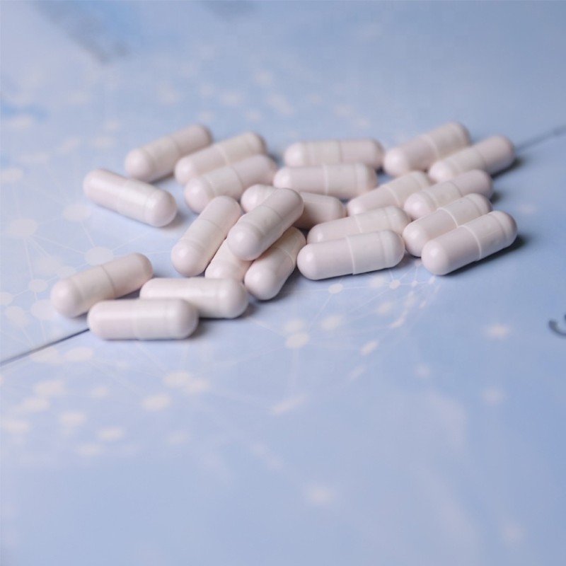 Probiotic Capsules Supplier - Daily Gut Health Balance