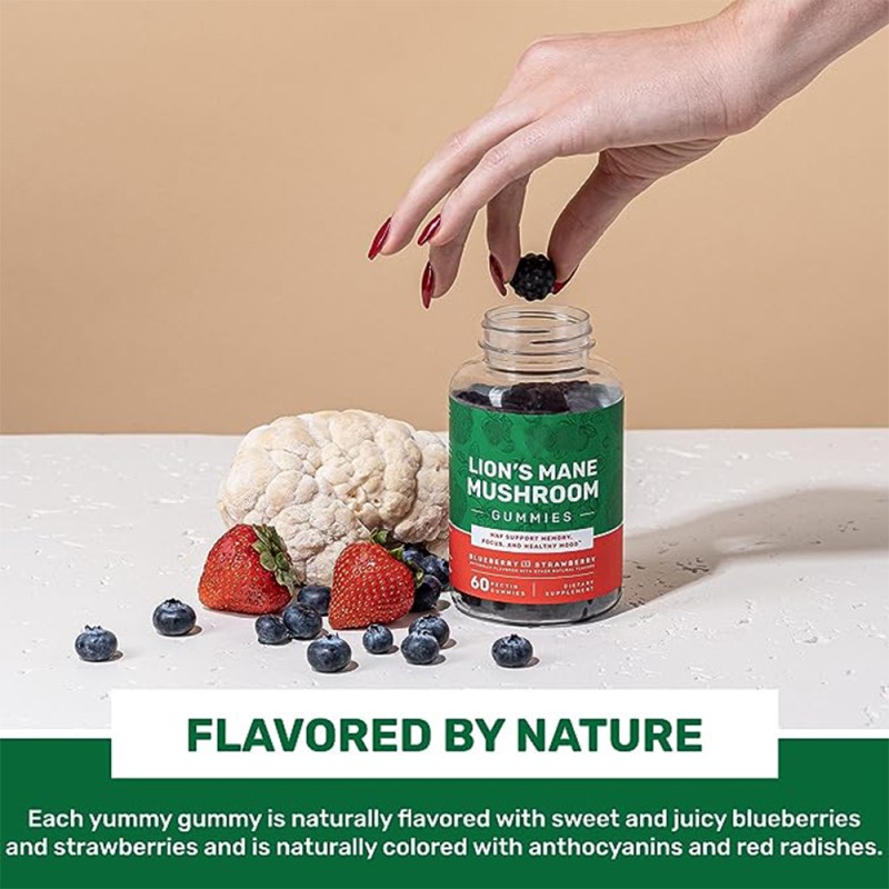 Mushroom Gummies Factory - Nootropics Brain Lion Mane