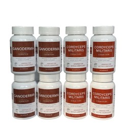 Mushroom Capsules Manufacturer - Organic Cordyceps Reishi Vegan