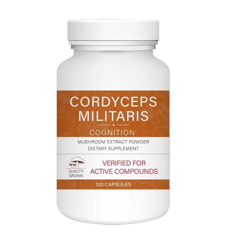 Cordyceps Capsules Factory - Vegan Mushroom 120 Counts